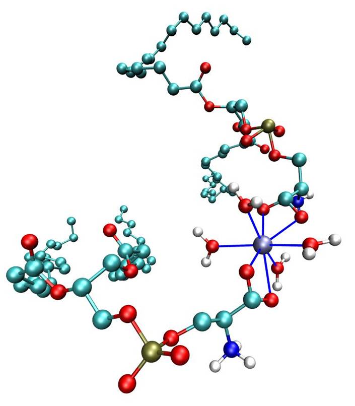 Calcium-DOPS-water complex